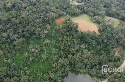 Terreno à venda, 20004 m² por r$ 350.000,00 - pomerode fundos - pomerode/sc