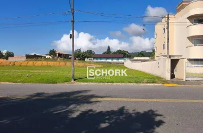Terreno à venda, 675 m² por r$ 250.000,00 - araponguinhas - timbó/sc
