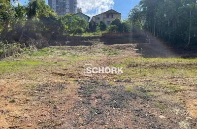Terreno à venda, 1998 m² por r$ 1.200.000,00 - quintino - timbó/sc