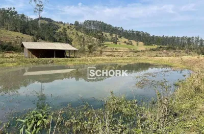 Sítio à venda, 120.950 m² por r$ 250.000 - centro - rio do campo/sc