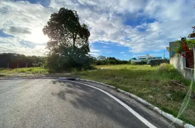 Terreno comercial à venda na Rodovia BR-230, Amazônia Park, Cabedelo
