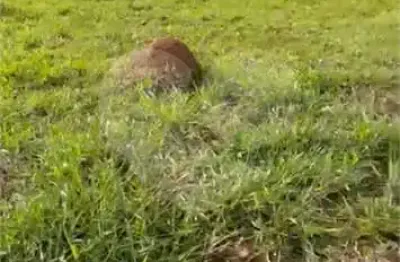 Terreno à venda na Serra Azul, S/N, Rio Abaixo, Itupeva
