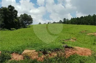 Terreno à venda no Jardim Tarumã, Jundiaí 
