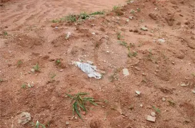 Terreno à venda na Baptista Pauser, S/N, Jardim Botânica, Itupeva