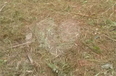 Terreno à venda na Paschoal Gimene, Sítio São José, Várzea Paulista