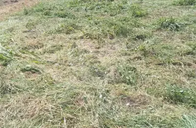 Terreno à venda na Municipal Fazenda Santana, Bosque, Vinhedo