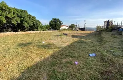 Terreno à venda ou para locação em jardim rosaura - sp