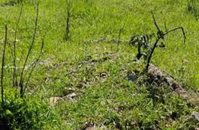 Terreno à venda no Parque Residencial Samambaia, Suzano 