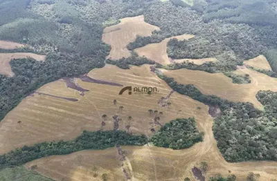 Chácara / sítio à venda na Fundo Do Campo, sn, Zona Rural, Otacílio Costa
