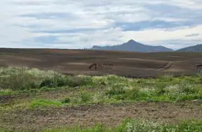 Chácara / sítio à venda na Terreno Margens Br-282, sn, Zona Rural, Bom Retiro