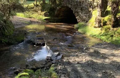 Terreno à venda na Caneleira, sn, Zona Rural, Bom Retiro
