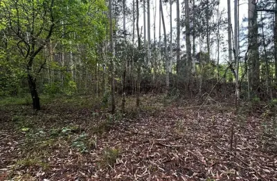 Chácara / sítio à venda na Três Pontas, sn, Zona Rural, Bom Retiro