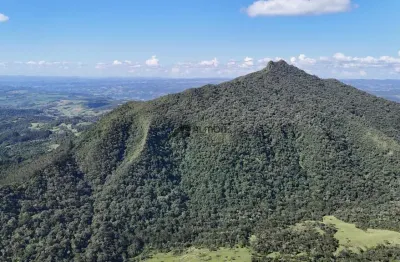 Fazenda à venda na Matador, sn, Zona Rural, Bom Retiro