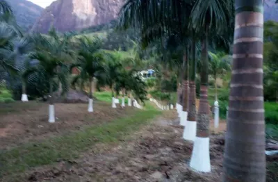 Chácara / sítio com 3 quartos à venda na Rua Projetada 532, Serra da Cruz, Macaé