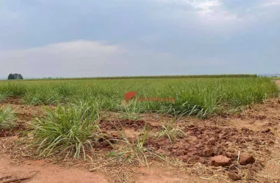 Terreno comercial à venda na Rodovia Sp 308, 1, Parque Industrial Augusto Scarassatti, Rio das Pedras