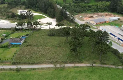 Terreno à venda, 8000 m² por r$ 5.120.000,00 - centro - campo alegre/sc