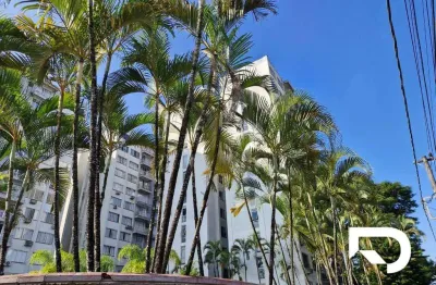 Apartamento com 3 dormitórios à venda, 78 m² por r$ 480.000,00 - américa - joinville/sc