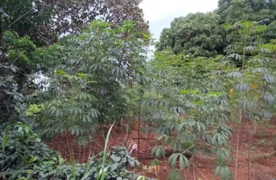 Terreno à venda na Avenida Manoel de Oliveira, 370, Parque Las Vegas, Bela Vista de Goiás