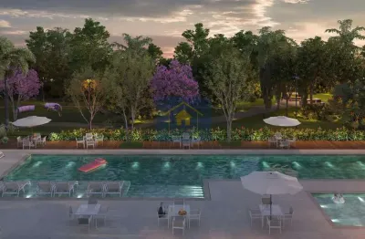 Vitale arbore: praticidade, conforto e mobilidade na barra olímpica