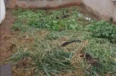 Lote de  350 m² (14x25)  no bairro Vila Bretas - Governador Valadares/MG