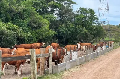 Chácara / sítio à venda na Est Itapuã, Itapuã, Viamão