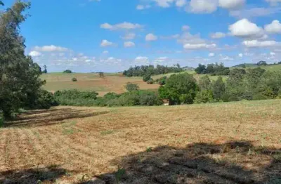 Chácara / sítio à venda na zona rural, ibiporã  por r$ 1.800.000