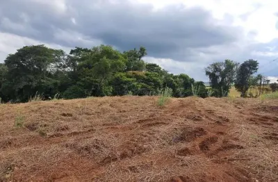 Chácara / sítio à venda na área rural de londrina, londrina  por r$ 290.000