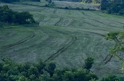 Chácara / sítio à venda na Zona Rural, Assaí 