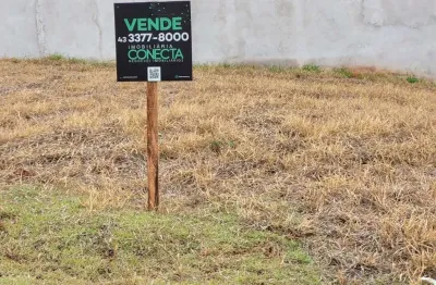 Terreno à venda na Gleba Esperança, Londrina 