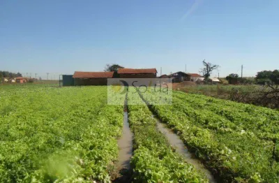 Área à venda, 66726 m² por r$ 2.600.000,00 - conjunto habitacional residencial olímpia - campinas/sp