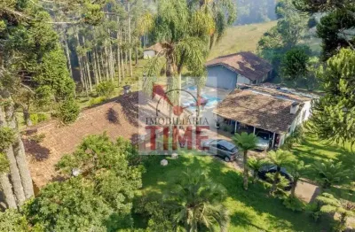 Chácara com 5 dormitórios à venda, 129 m² por r$ 1.250.000,00 - borda do campo - são josé dos pinhais/pr