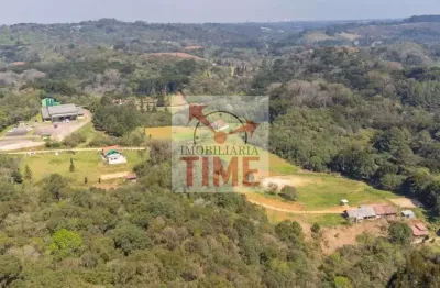 Chácara com 4 dormitórios à venda, 24000 m² por r$ 1.200.000,00 -  almirante tamandaré/pr