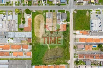 Terreno à venda, 6.500 m² por r$ 6.500.000 - jardim paulista - campina grande do sul/paraná