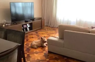 Apartamento bem conservado - próximo orquidário, em santos/sp.