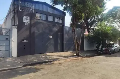 Galpão comercial à venda em são paulo (instituto de previdência) – 180 m² internos, 300 m² de terreno