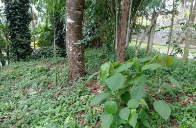 Chácara Rural à Venda em São Roque (Gabriel Piza) – 2.548 m², Financiamento