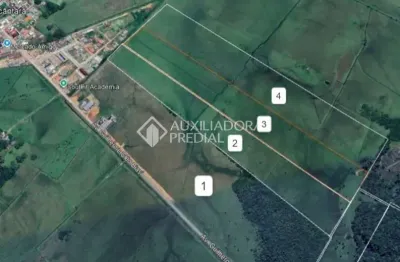 Fazenda à venda na central, 259, 200, centro, dom pedro de alcântara, 85303 m2 por r$ 240.000