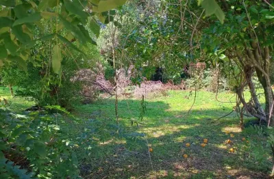 Terreno à venda na severino travi, 79, vila boeira, canela, 480 m2 por r$ 650.000