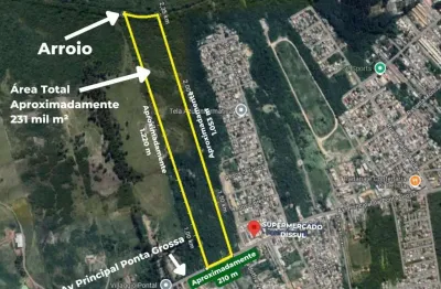 Terreno à venda na avenida principal da ponta grossa, 1289, ponta grossa, porto alegre, 230000 m2 por r$ 7.000.000