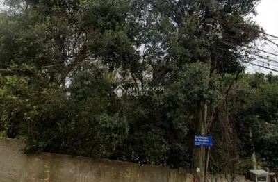 Terreno à venda na rua primeiro de setembro, 896, vila são josé, porto alegre, 442 m2 por r$ 500.000