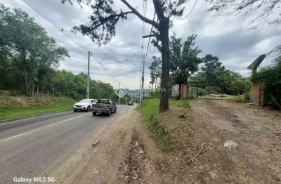 Terreno à venda na estrada afonso lourenço mariante, 4300, lomba do pinheiro, porto alegre, 80000 m2 por r$ 6.000.000