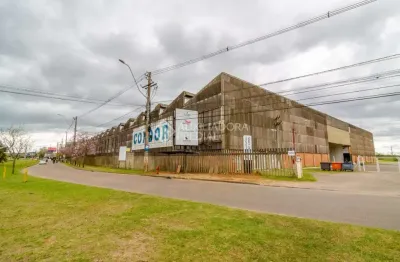 Barracão / galpão / depósito para alugar na avenida severo dullius, 1995, são joão, porto alegre, 2104 m2 por r$ 22.092
