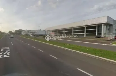 Ponto comercial para alugar na rodovia rs-239, 1911, operário, novo hamburgo, 1100 m2 por r$ 36.300