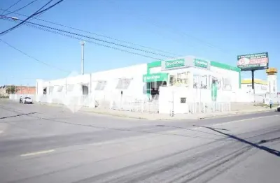 Barracão / galpão / depósito para alugar na rua doutor paulo hecker, 51, humaitá, porto alegre, 230 m2 por r$ 6.500