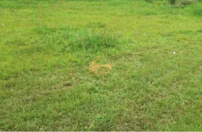 Terreno à venda, 332 m² por r$ 3.984.000,00  - vila operária - itajaí/sc