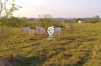 Terreno com 10 alqueires ou 250.000 m2, em área rural, pronto para construção de condomínio ou loteamento!