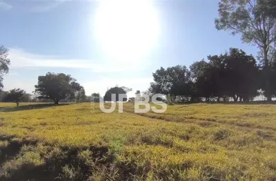 Araguari/mg: fazenda com potencial triplo - mineração, agropecuária e plantio!  descubra uma fazenda única na zona rural de araguari/mg, um verdadeiro tesouro de oportunidades! com vocação agropecuári