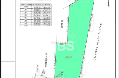 Área estratégica às margens da BR-153, com 24.800 m² planos e prontos para receber grandes empreendimentos!