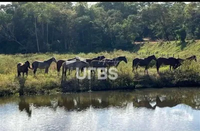 Fazenda Ourinho de Deus - 63 alqueires - 7 km de Santa Tereza - Go