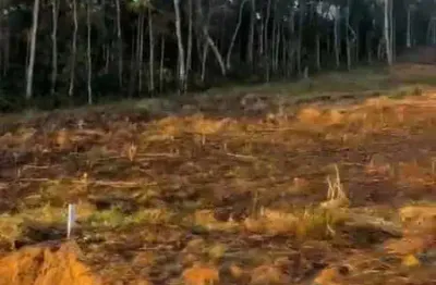 Terreno à venda na Parada Américo Alves da Costa, 800, Amparo, Nova Friburgo